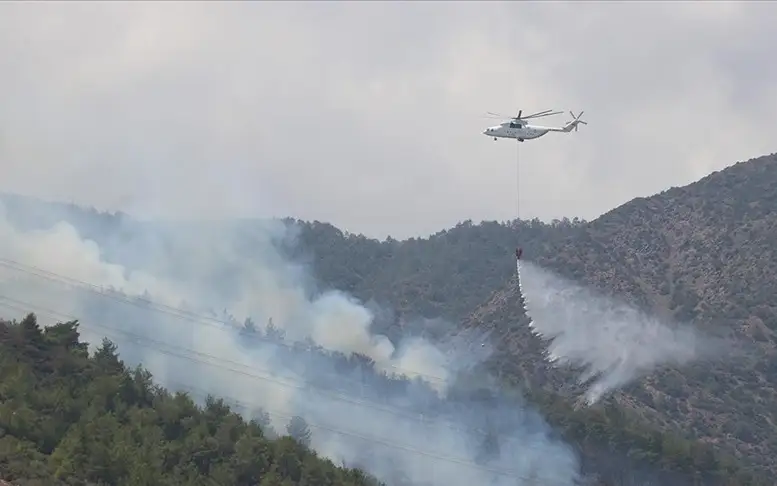 Турция использует искусственный интеллект в предотвращении лесных пожаров