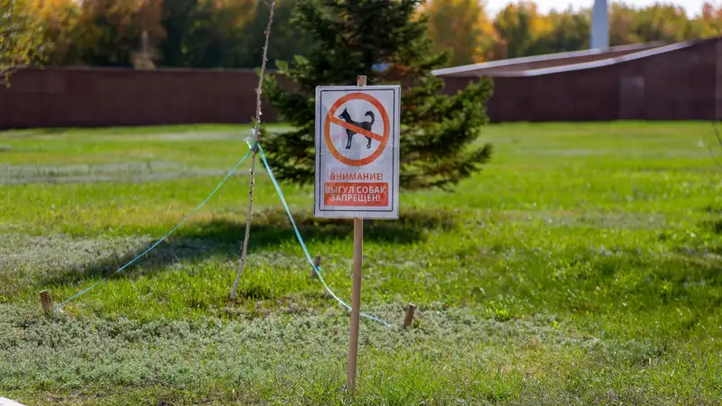 знак запрета выгула собак иттерге арналған белгі