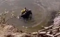 sýǵa batty