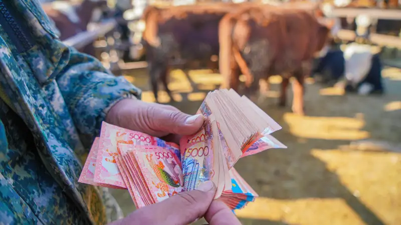 скот деньги 