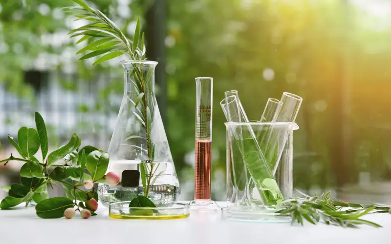 Signs of intelligence found in plants
