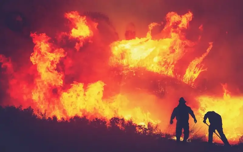 fire