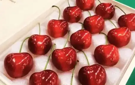 черешня Япония