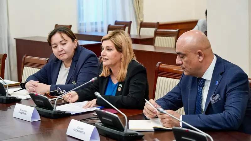 UNDP highly appreciates Kazakhstan's achievements in social sector digitalization