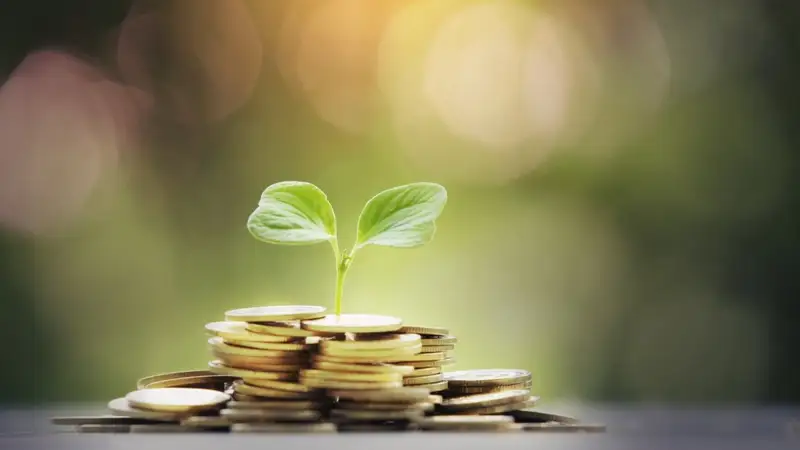 Ауыл шаруашылығы