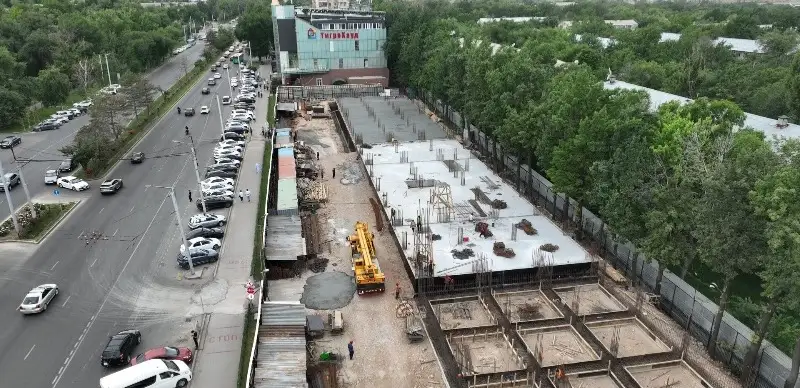 Как изменится рынок «Тигрохауд» в Алматы 