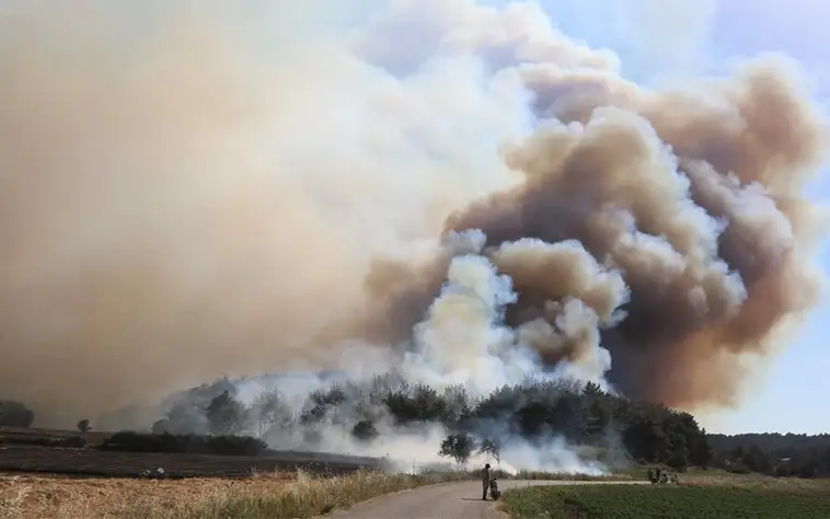 Village in Türkiye  evacuated due to  wildfires 