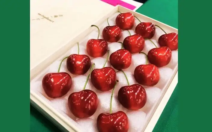 Rare Cherry Variety Sells for $3,500 in Japan