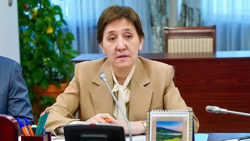 UNDP highly appreciates Kazakhstan's achievements in social sector digitalization