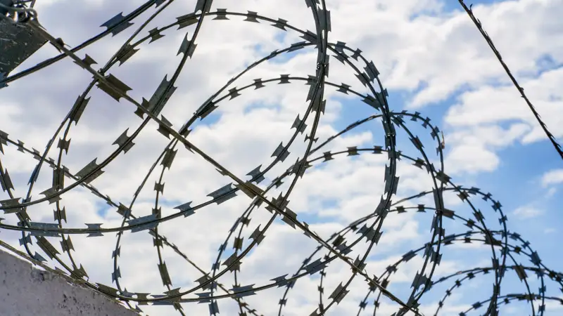 колючая проволка тікенді сым забор қоршау колония