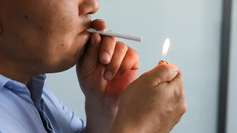 Темекі шегу/темекі