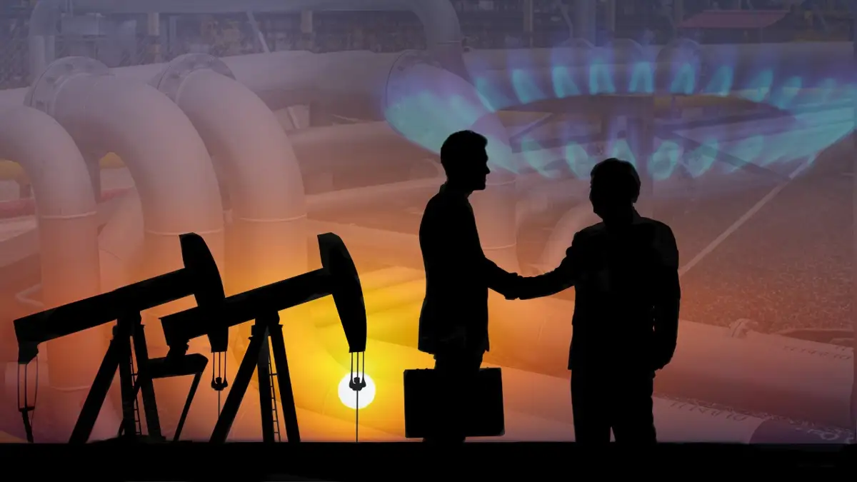 Тегін порно видеолар