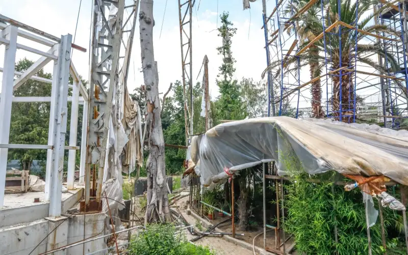 Ботанический сад