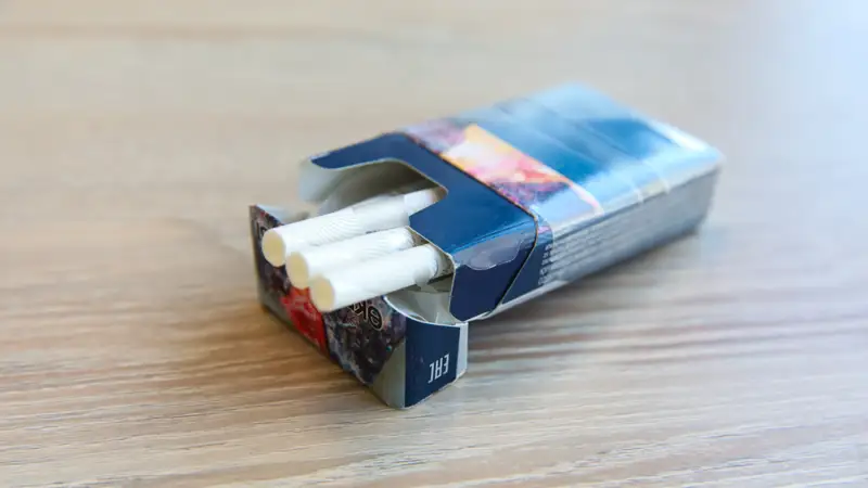 Темекі шегу/темекі