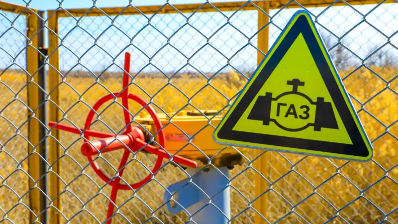 gazoraspredelıtelnaıa set gaz taratý jelisi