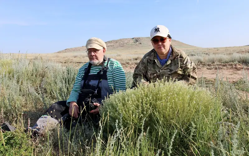 Ученые обнаружили в Казахстане новый вид растения 