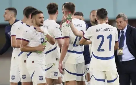 Евро-2024 Сербия