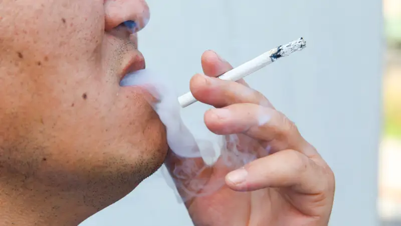 Темекі шегу/темекі