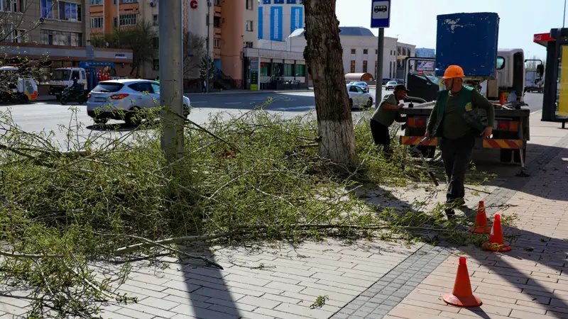 Atyraýda aýdandyq ákimdiktiń aýla sypyrýshysy aǵash kesý kezinde jaraqat alǵan