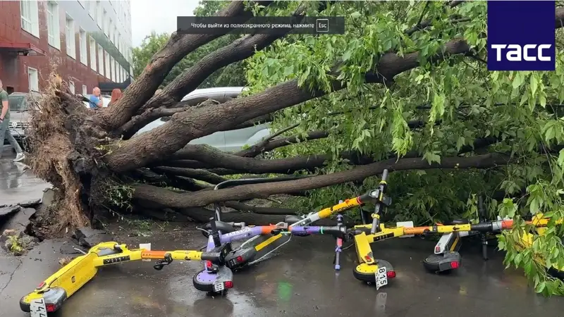  18 people hospitalized after gale winds in Moscow
