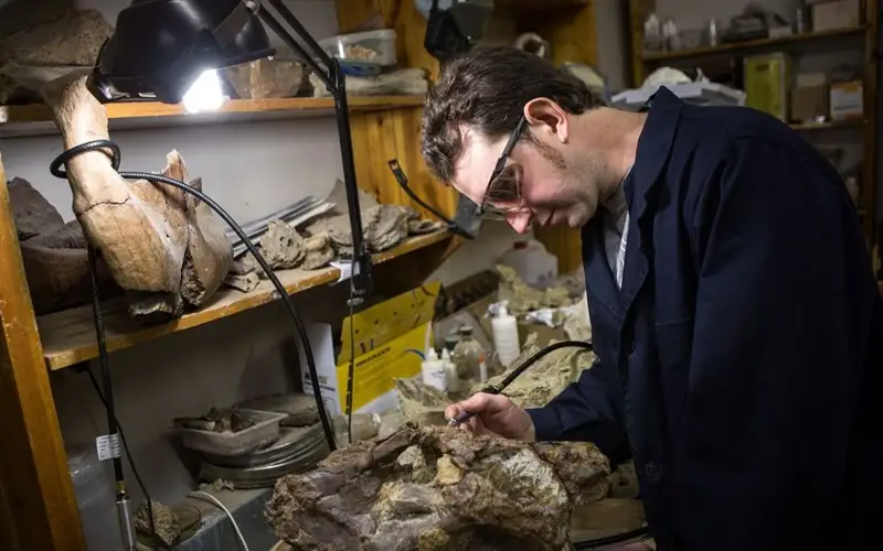 наука ученые