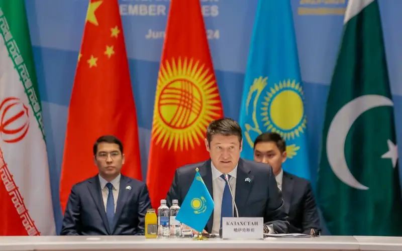 ShYU-ǵa múshe elder energetıkany damytýdyń strategııalyq jobasyn kelisti 