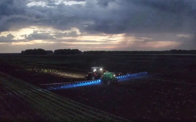 саранча обработка полей