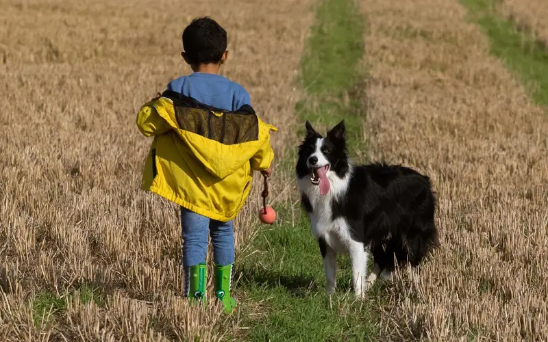 мальчик и собака