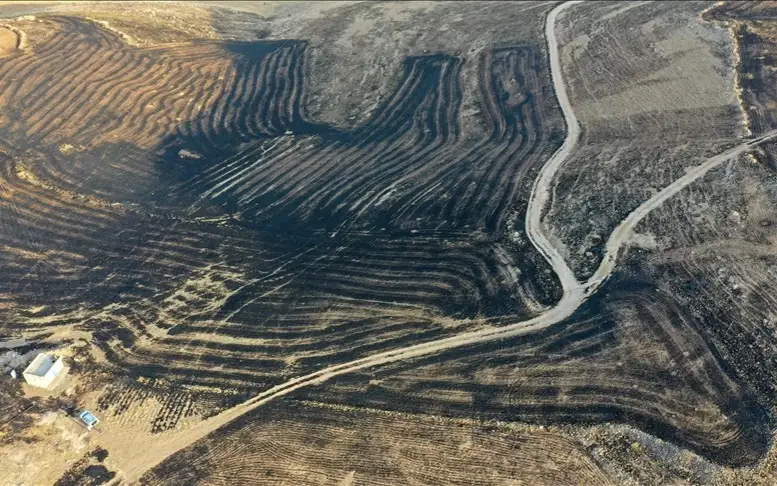 турция, пожар, лесные пожары