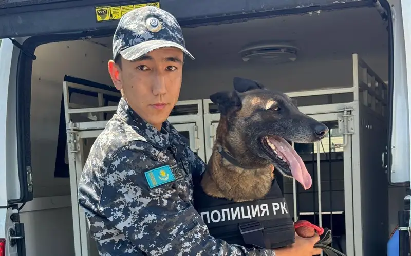 фильм о штурмовой овчарке сняли в Таразе 