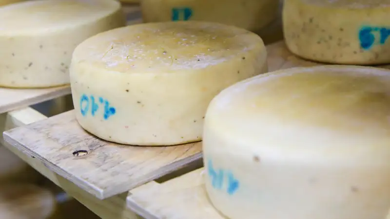 Сыр  Ірімшік