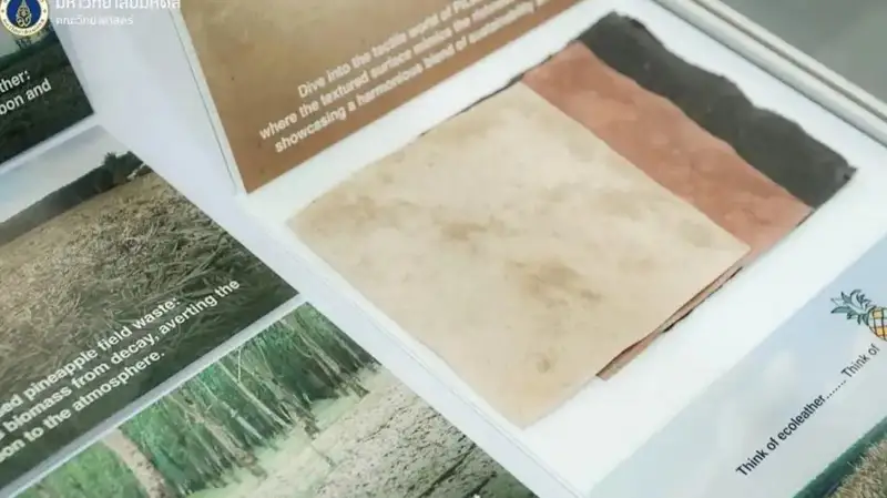 Новую экологически чистую кожу из листьев ананаса и каучука разработали в Таиланде