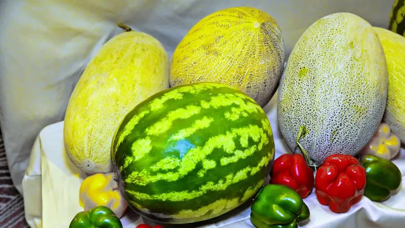 Арбуз дыня Қарбыз қауын