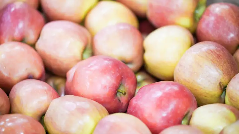 Яблоки алма