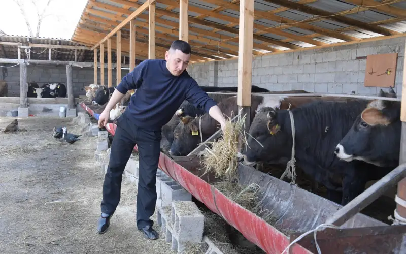 «Ауыл аманаты» в Алматинской области: сельчане освоили свыше 8,2 млрд тенге