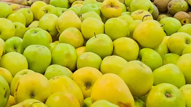 Яблоки алма 