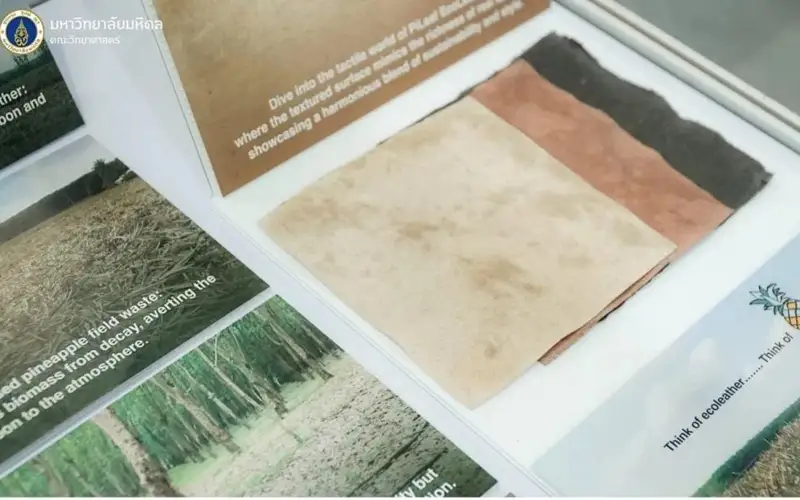 Thailand has developed a new eco-friendly leather from pineapple leaves and rubber