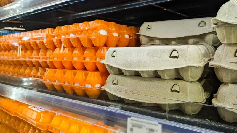 Яйца Жұмыртқа