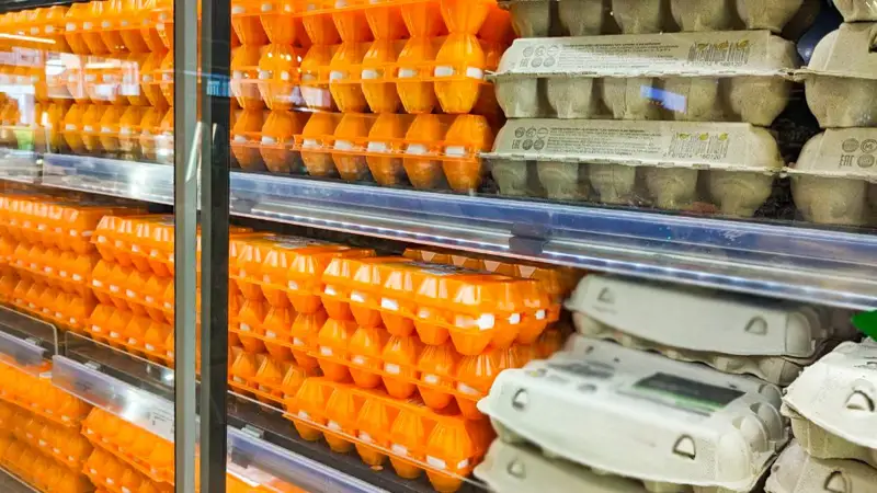 Яйца Жұмыртқа