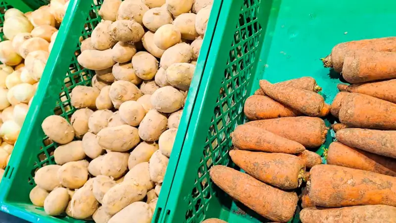 Картофель морковь Картоп сәбіз