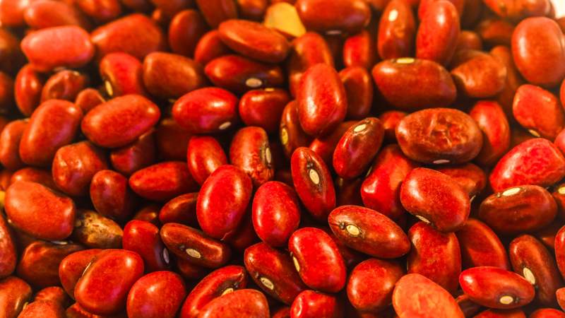 Фасоль Атбас бұршақтар