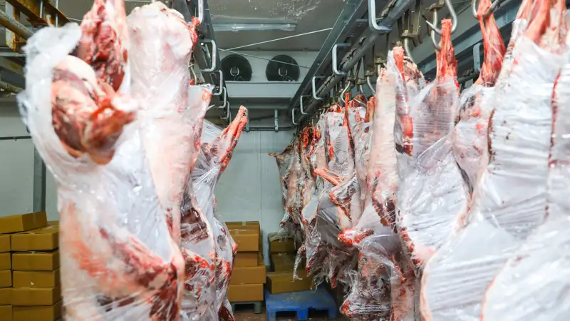 Мясо Сайгака Ақбөкен еті