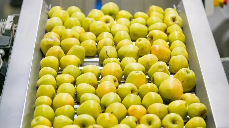 Яблоки алма