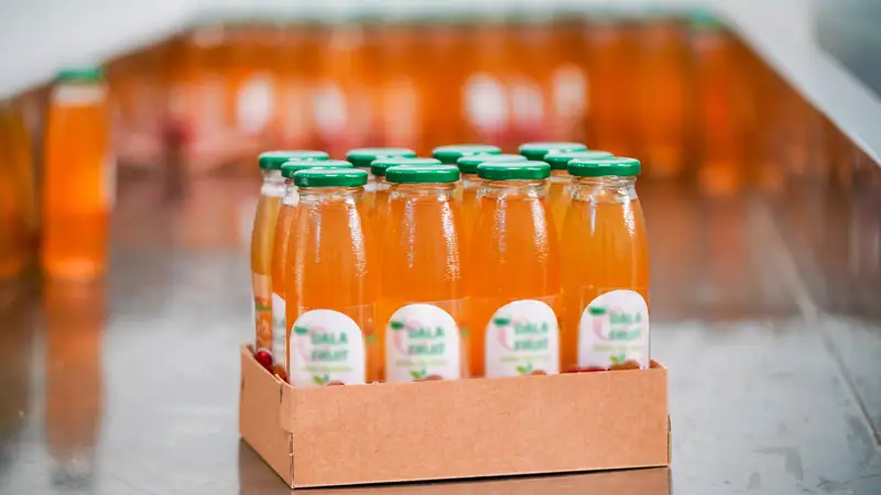 Производство сока Шырын өндірісі