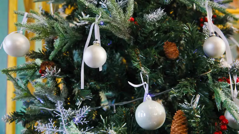 Новый год Жаңа жыл елка шырша