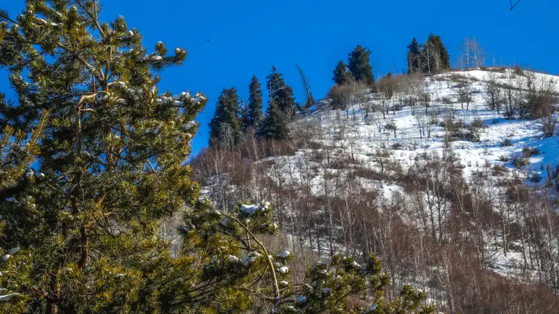 Горы Таулар