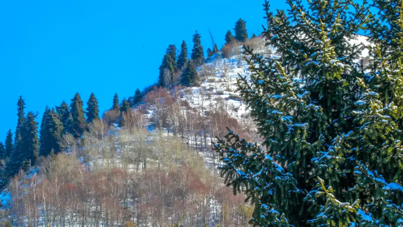 Горы Таулар