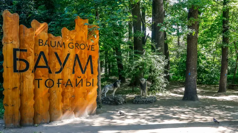 В Алматы запланирована санитарная уборка в роще Баума: только 55% деревьев здоровы