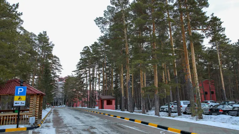 Боровое деревья лес природа Бурабай ағаштар орман табиғат