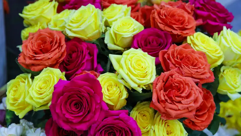 Цветы букет  розы Гүлдер букет раушан гүл